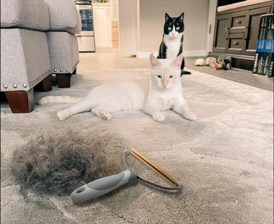 PawFresh Fur Reset Tool™