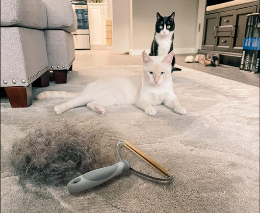 PawFresh Fur Reset Tool™